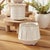 Early 21st Century Dezie Mini Pots, Set Of 6 For Sale - Image 5 of 14