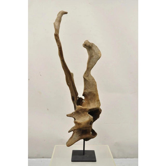 Abstract Vintage Abstract Sculpted Wood Sculptural Free Form Table Sculpture Statue For Sale - Image 3 of 12