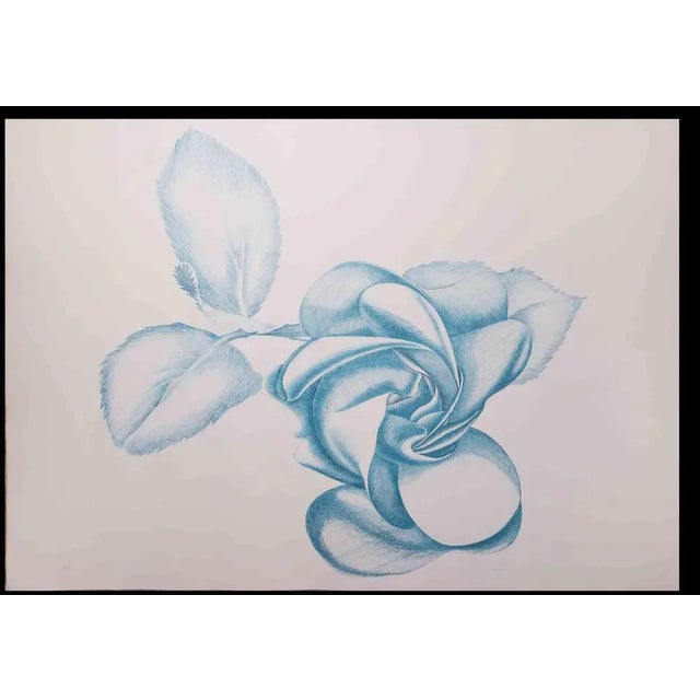 Blue Rose is an original contemporary artwork realized by Giacomo Porzano in 1970s. Colored etching Hand-signed on the...