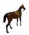 Large Antique Vienna Bronze Horse Sculpture by Franz Bergman (Austrian, 1861-1936) For Sale - Image 4 of 7