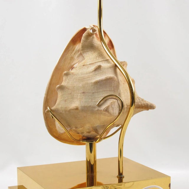 Table Lamps by Willy Daro Mounted Seashell and Brass For Sale - Image 10 of 13