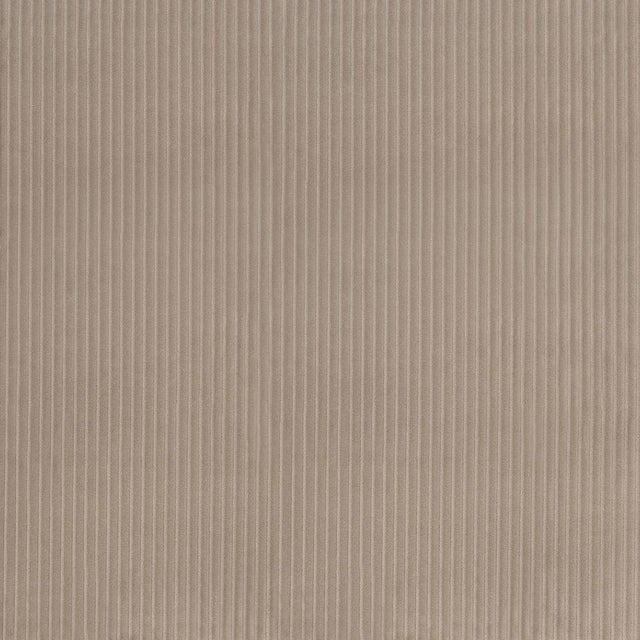 With super soft quarter-inch wales, great texture and a performance finish, Wyatt is our most versatile corduroy fabric....