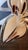 Mid 20th Century Vintage Hand-Blown Art Glass Lily Sculpture — In the Style of Murano For Sale - Image 5 of 13