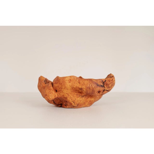 Large Scandinavian Modern Swedish Folk Art Organic Burl Bowl, 1960s For Sale - Image 3 of 11