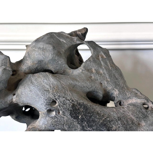 Extraordinary Chinese Taihu Scholar Stone Rare Form on Display Stand For Sale - Image 4 of 18