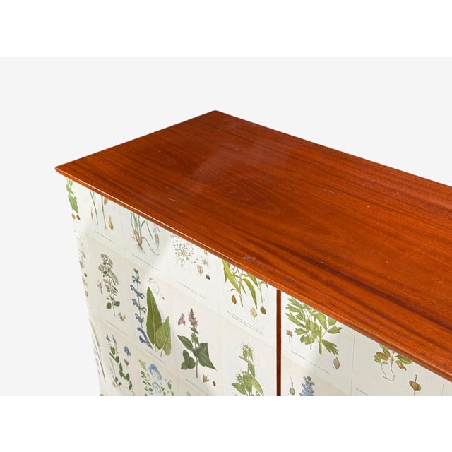 Swedish Modern, Nordens Flora Cabinet, Birch, Floral Lithographs, Sweden, 1940s For Sale - Image 11 of 16