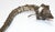 Asian Metal Filigree Opium Pipe, Silver Plate, Chinoiserie Style, 1920 For Sale In Palm Springs - Image 6 of 17