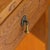 Orange Mid-20th Century Hand-Carved New Mexico Pine Side Table in the Wpa Tradition For Sale - Image 8 of 13