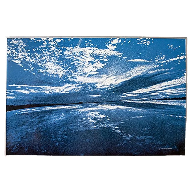 Vintage Italian Natura Print by Franco Fontana for AMAR collezioni Milano, 1976 For Sale