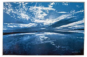 Vintage Italian Natura Print by Franco Fontana for AMAR collezioni Milano, 1976