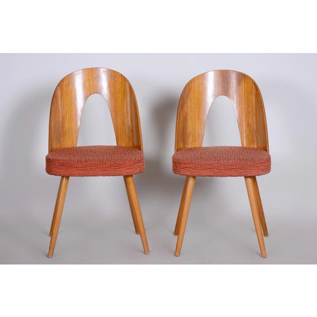 Brown Set of Mid-Century Beech Chairs attributed to Antonín Šuman, 1950s For Sale - Image 8 of 8