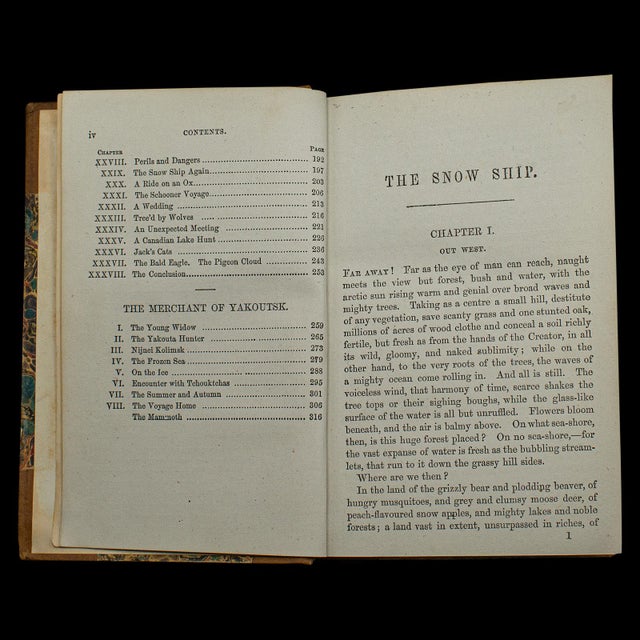 1880's Antique Novel the Snow Ship For Sale - Image 4 of 10