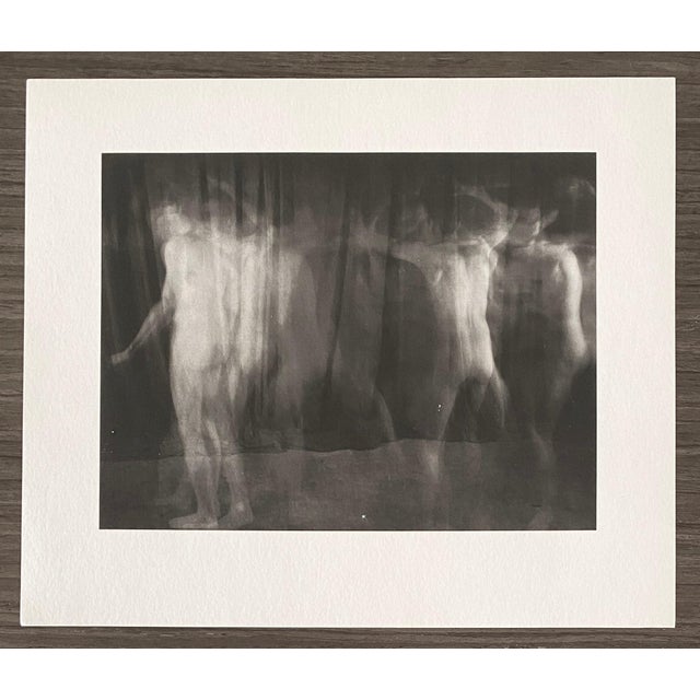 Skip Arnold, Vintage Photograph Male Nude Platinum Print Photo 'Ring Around the Rosie', 1996 For Sale - Image 4 of 6