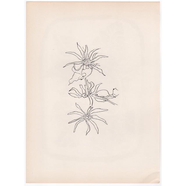 Georges Braque (1885-1954) Sunflower (front) and Daisies (back) Two Original Lithographs Year: 1955 Printer: Mourlot...