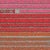AV_Tulip_Fields_035" Contemporary Aerial View Limited Edition Photograph by Bernhard Lang For Sale - Image 6 of 10