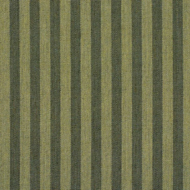 Schumacher Schumacher Hanson Indoor/Outdoor Stripe Narrow Fabric In Green For Sale - Image 4 of 4