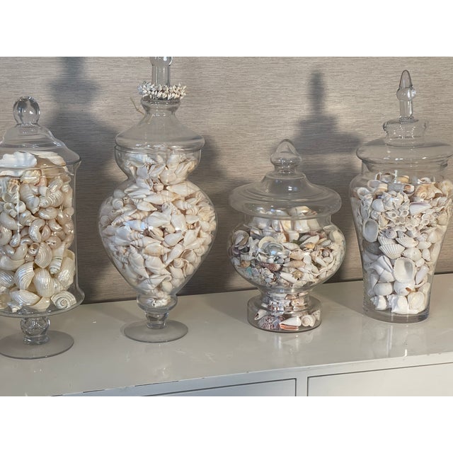 22” large glass jars filled with White Sea shells. Sold per piece.