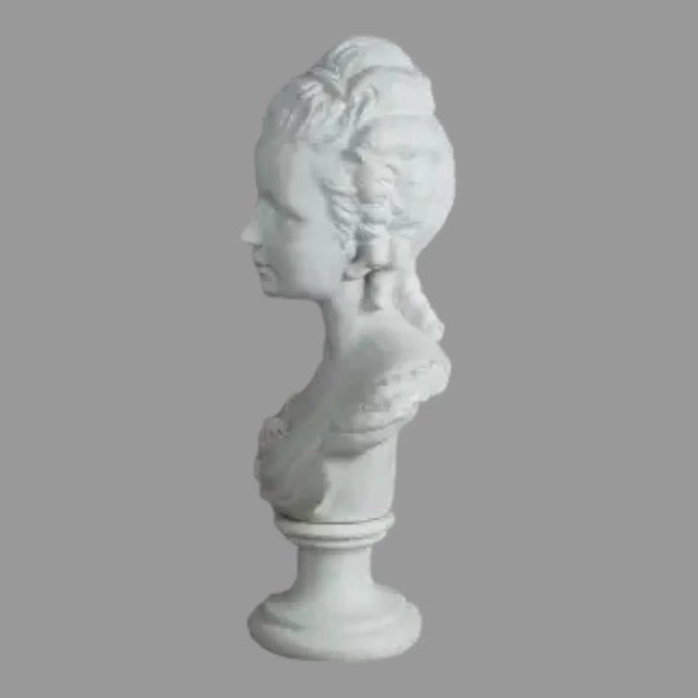 Late 19th Century French Louis XV Sevres Parian Ware Sculpture Bust of Marie Antoinett Signed L. Badessi C1880 For Sale - Image 9 of 10