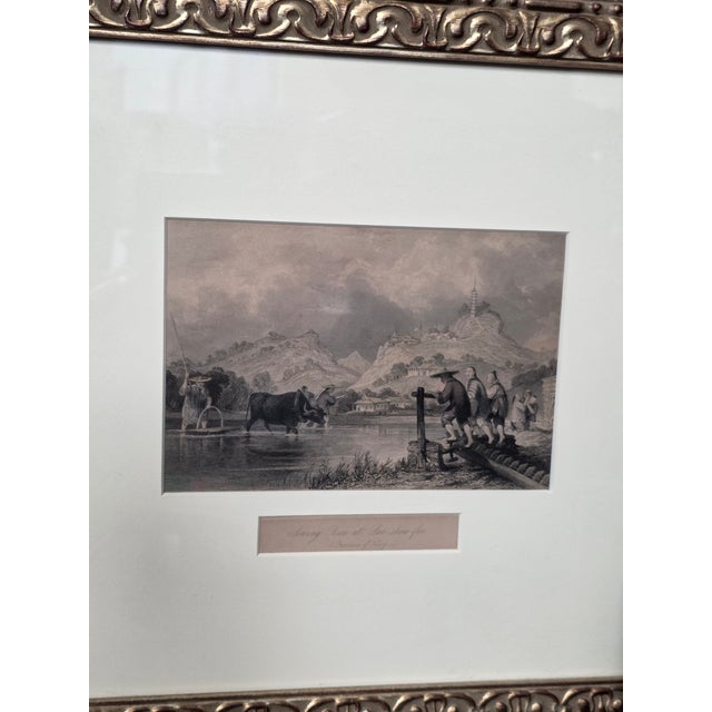 Three Custom Framed Antique Chinoiserie Prints For Sale - Image 10 of 14