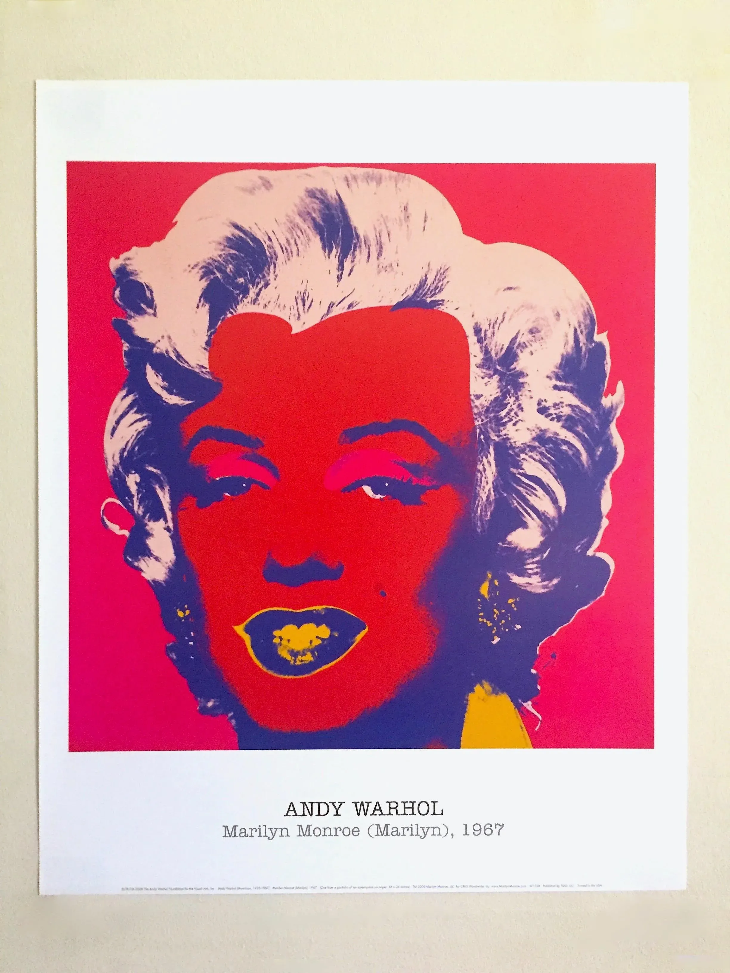 Andy Warhol Foundation Offset Lithograph Print Pop Art Poster