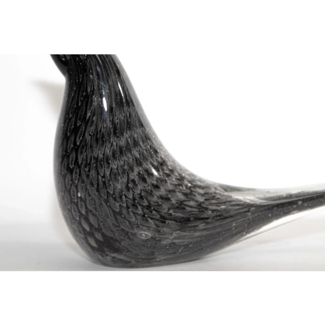 Glass Vintage Murano Art Glass Black Bird Mid Century Modern 1960's For Sale - Image 7 of 13