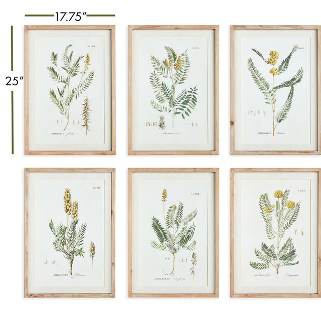 Arts & Crafts Mid-Summer Blooms Prints, Set Of 6 For Sale - Image 3 of 4