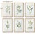 Arts & Crafts Mid-Summer Blooms Prints, Set Of 6 For Sale - Image 3 of 4