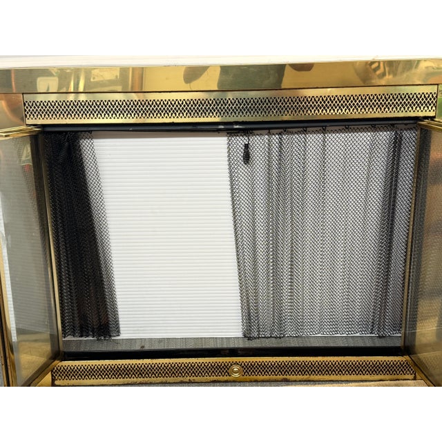 2010s Jenson Distribution Traditional Fireplace Doors For Sale - Image 5 of 12