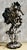 Black Simon Smith, Custom Steampunk Seahorse Sculpture, 1950, Mixed Media For Sale - Image 8 of 12