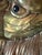Contemporary Sergio Bustamante Vintage Copper and Brass Large Wall Mount Lion Head Bust Signed & Numbered 5/100 For Sale - Image 3 of 12