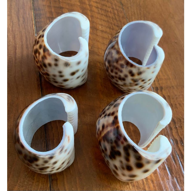 Genuine Cowrie Shell Napkin Rings Set of 4 - Natural, Coastal, Palm Beach Regency, British Colonial, Beach House, Tropical & Seaside Tableware For Sale In New Orleans - Image 6 of 6
