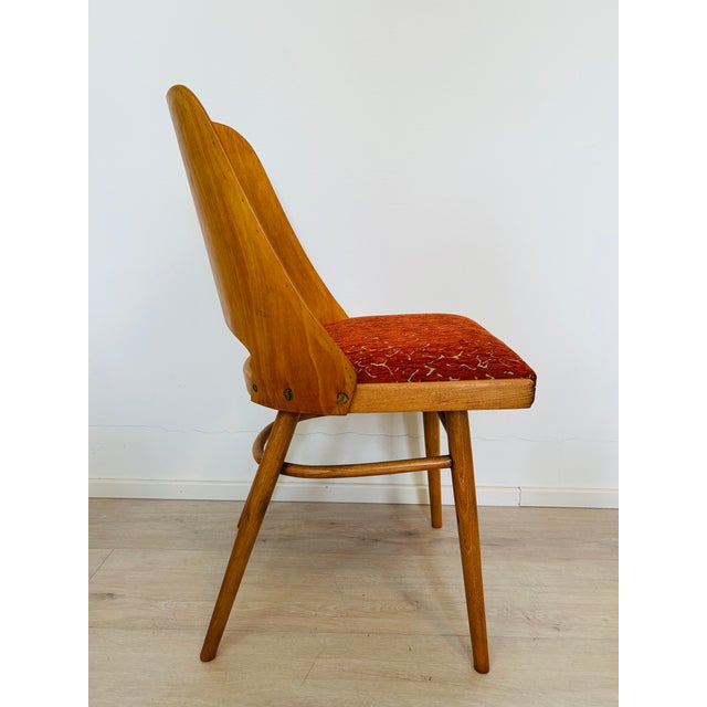 Mid-Century Modern Dining Chair by Radomír Hofman for Ton, 1950s For Sale - Image 4 of 13