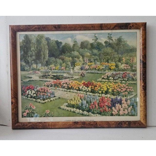 Gold British Botanical Prints, 1930, Paper, Framed For Sale - Image 8 of 9