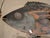 2000 - 2009 Pottery Serving Dish, Fish Motif South Africa For Sale - Image 5 of 11
