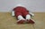 Antique Japanese Soft Body Bisque Baby Doll 7" For Sale - Image 11 of 12