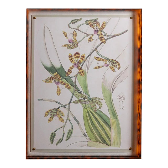 Spring Orchid II Giclee in Tortoise Frame For Sale
