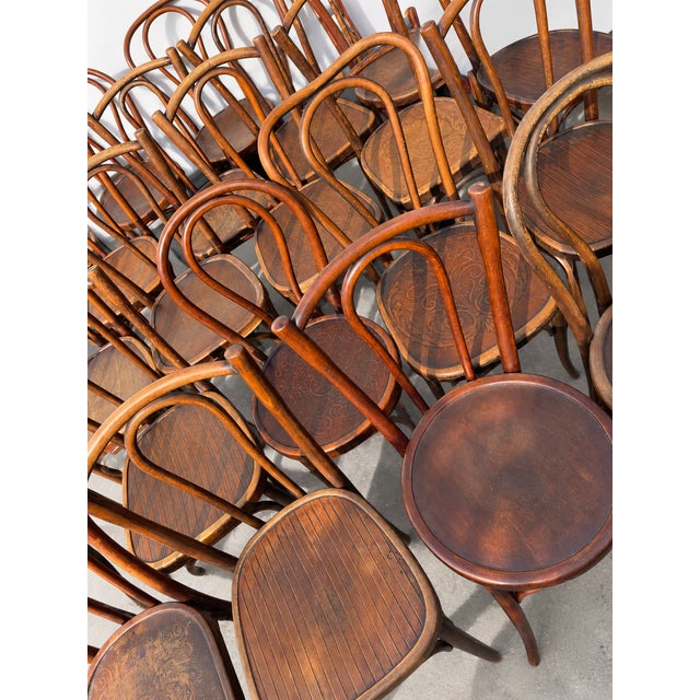 French Wood Bistro Chairs in the style of Thonet, France, 1940, Set of 60 For Sale - Image 6 of 13