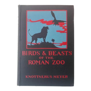 1920s Birds & Beasts of the Roman Zoo Book For Sale