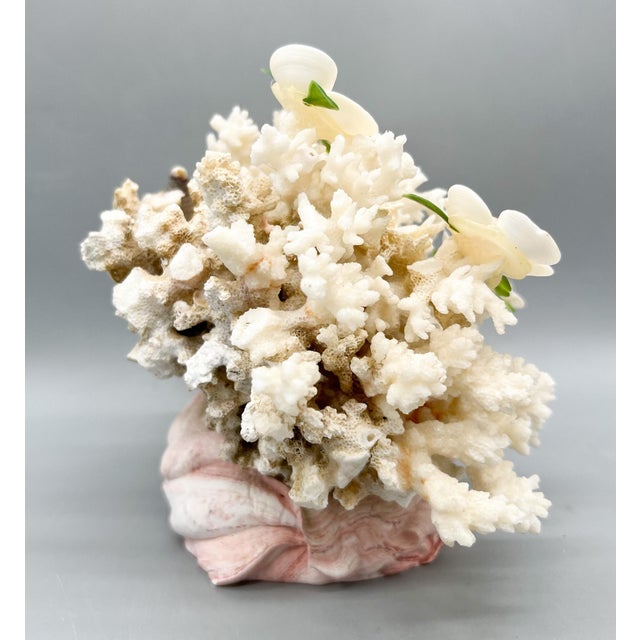 Folk Art Coral & Shell Flower Arrangement – Coastal Decor With Swirled Composite Base For Sale - Image 10 of 15
