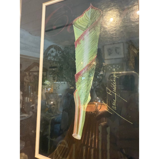 Vintage Framed Botanical Watercolors Signed by Marie Frederique.- A Pair For Sale - Image 4 of 4