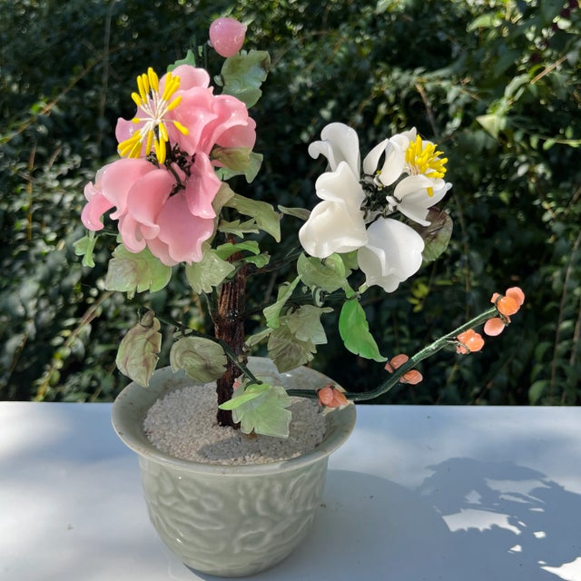 Light Pink Bonsai Tree Peony Gem For Sale - Image 8 of 11