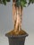 Artificial Floral Arrangement Hand-Made and Very Realistic For Sale - Image 11 of 12