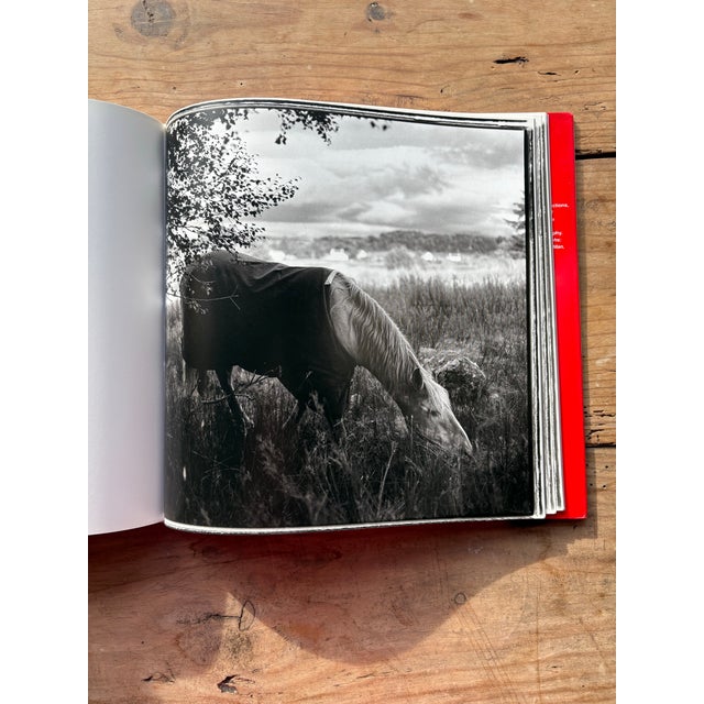Signed Ezekiel’s Horse by Keith Carter – Hardcover Photography Book For Sale - Image 4 of 12