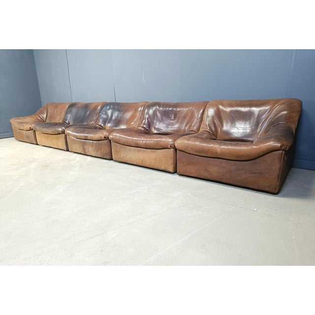 Vintage Bufflao Leather DS46 Modular Sofa from de Sede, 1970s, Set of 5 For Sale - Image 3 of 9