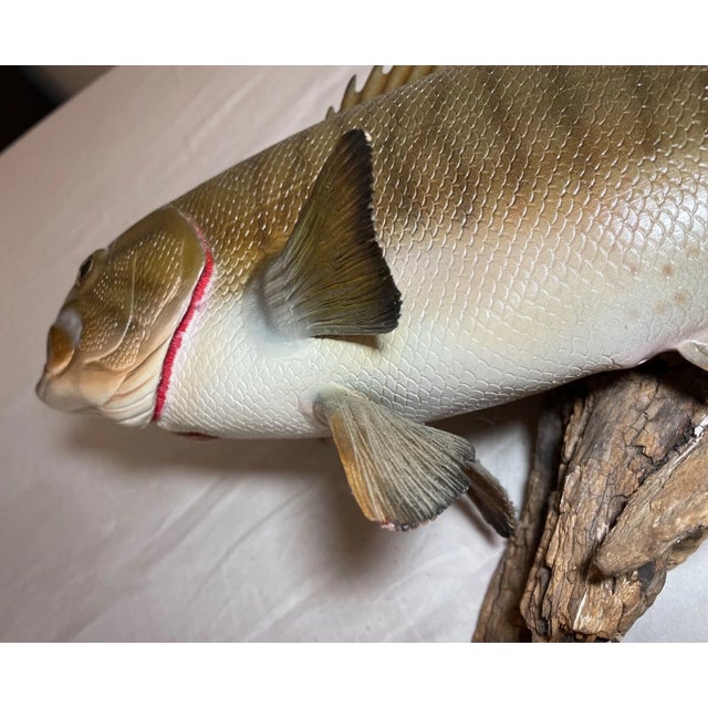Vintage Handmade Eg Carved Wood Smallmouth Bass Wall Fish Mount Trophy Sculpture For Sale - Image 10 of 18