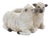 Sheep Couple Planter (Set of 2) For Sale