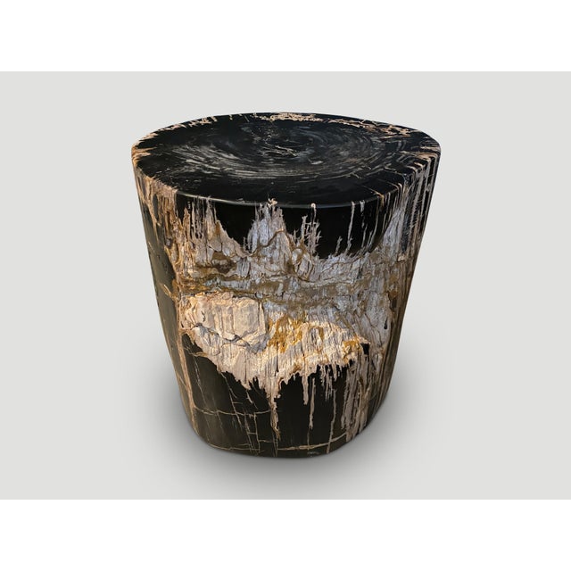 Beautiful contrasting tones and textures on this ancient petrified wood side table. Rare. It’s fascinating how Mother...