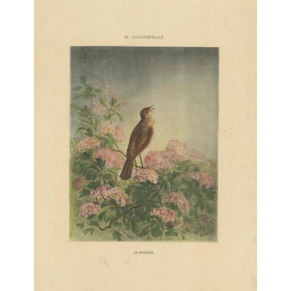Paper Giacomelli, The Nightingale's Song, 1891, Print For Sale - Image 7 of 8