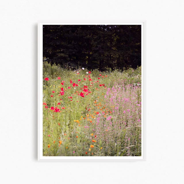 This contemporary fine art photography print presents a beautiful flower garden in bloom during summer in western...