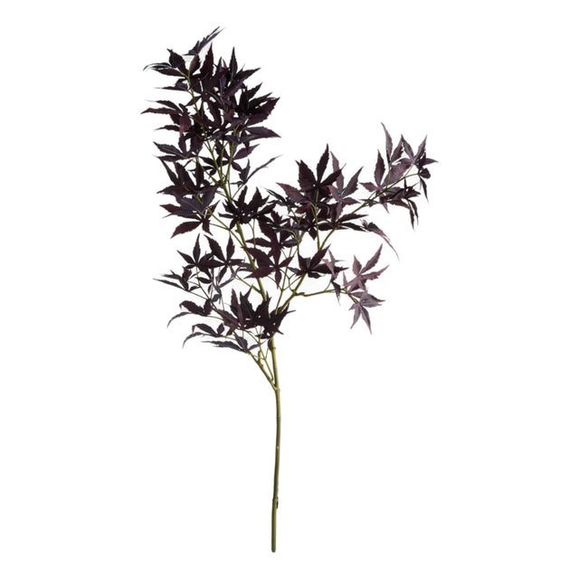 Maple Leaf Branches 41" St/2 For Sale